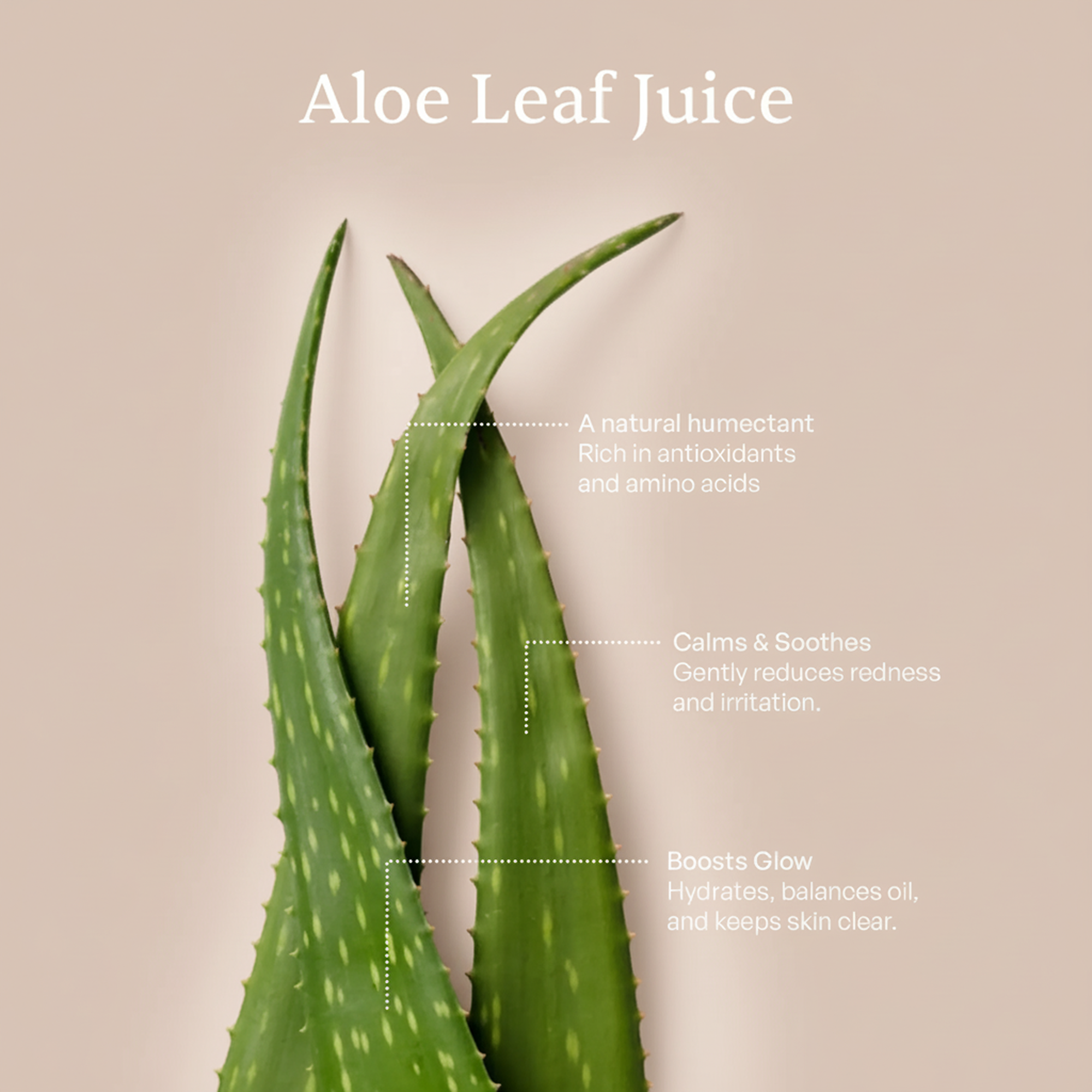 Clean & Hydrate Face Duo