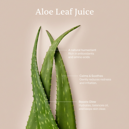 Clean & Hydrate Face Duo